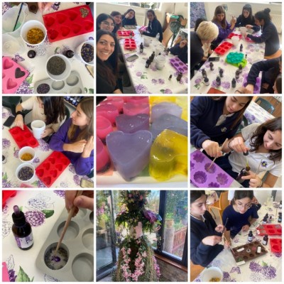 Art Students Participate in Soap Making Workshop at CyHerbia Botanical Gardens